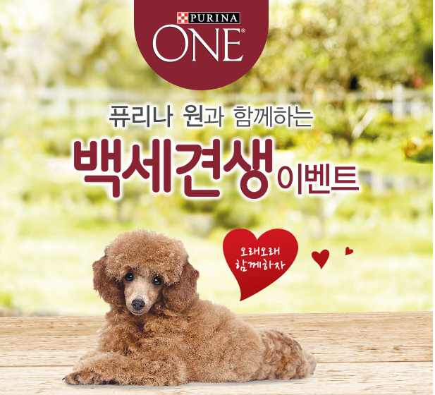 백세견생 이미지
