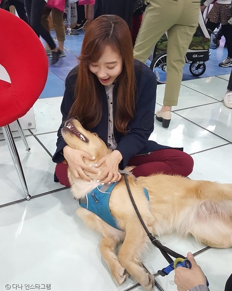 다나펫 이미지