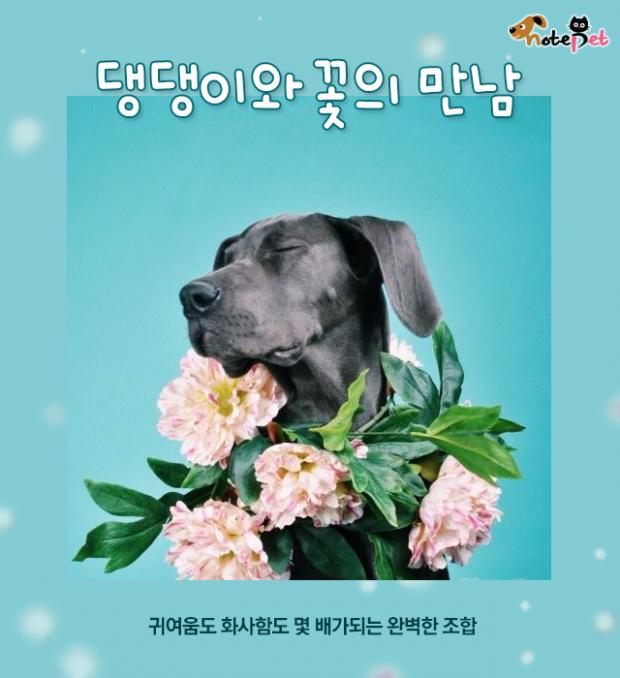꽃만남 이미지