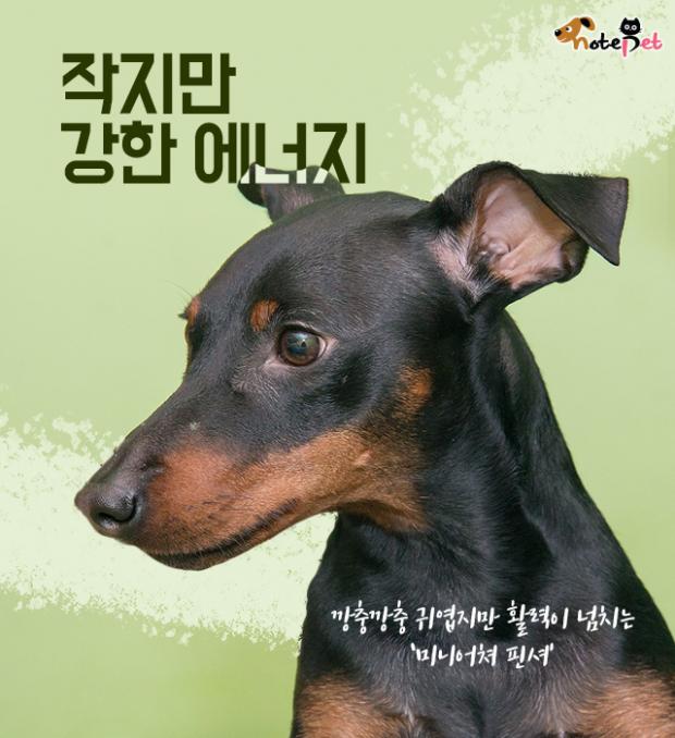 바른에너지 이미지
