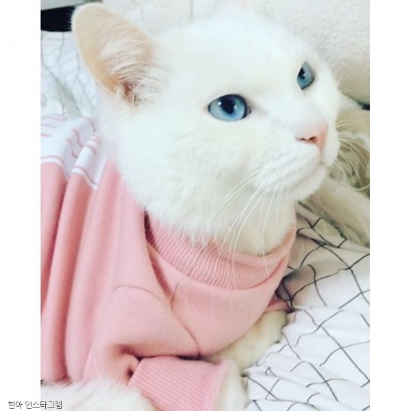 웅기획 이미지
