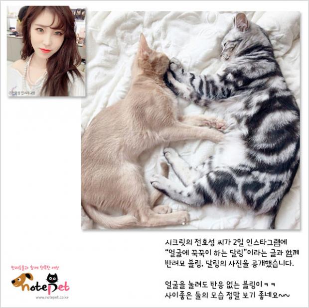은정세탁 이미지