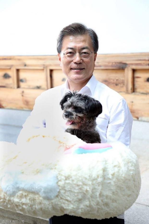 토리 이미지