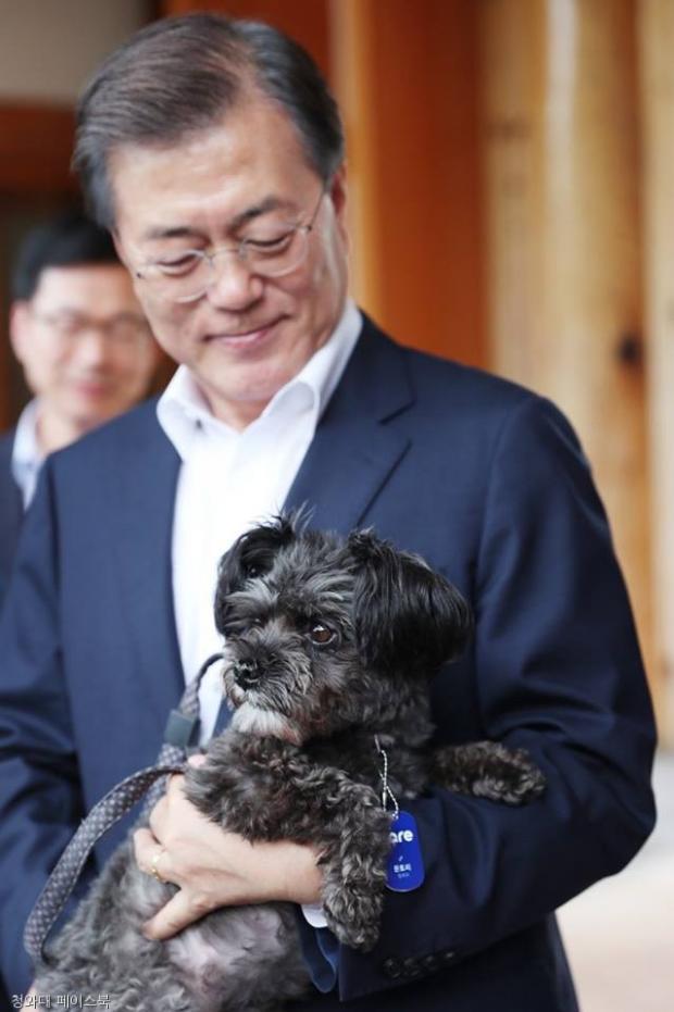 아트토리 이미지