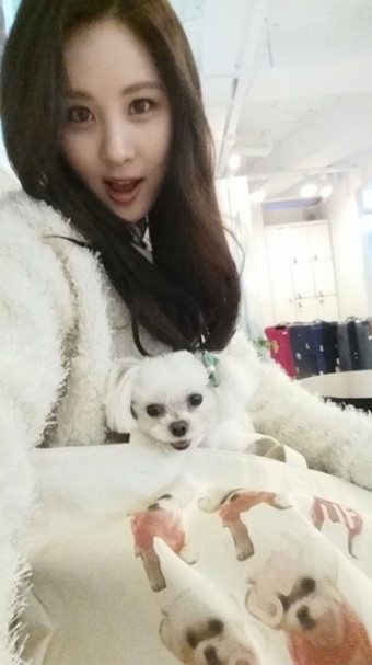 개스타그램 이미지