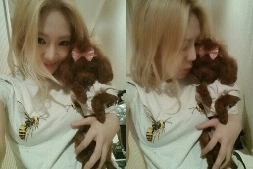 개스타그램 이미지