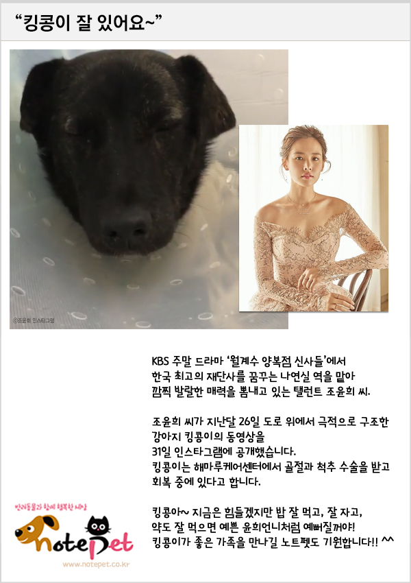 킹콩기획 이미지