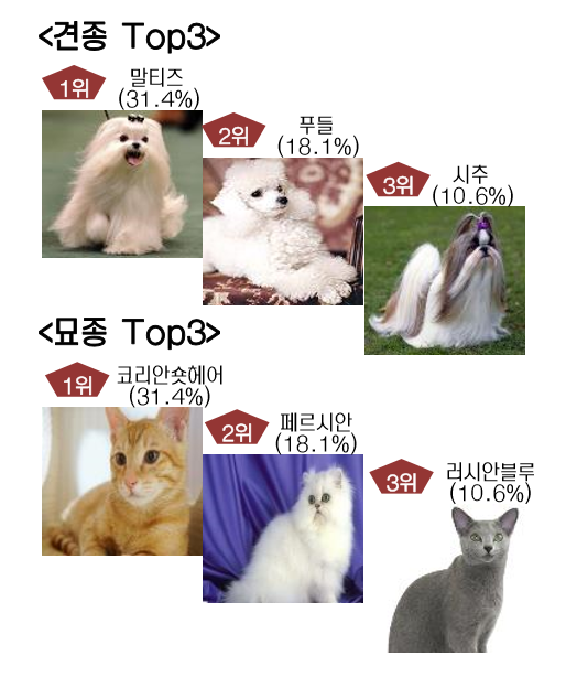 서울경기열대어 이미지