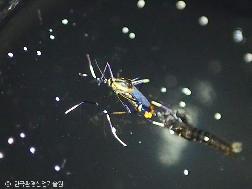 모기아트 이미지