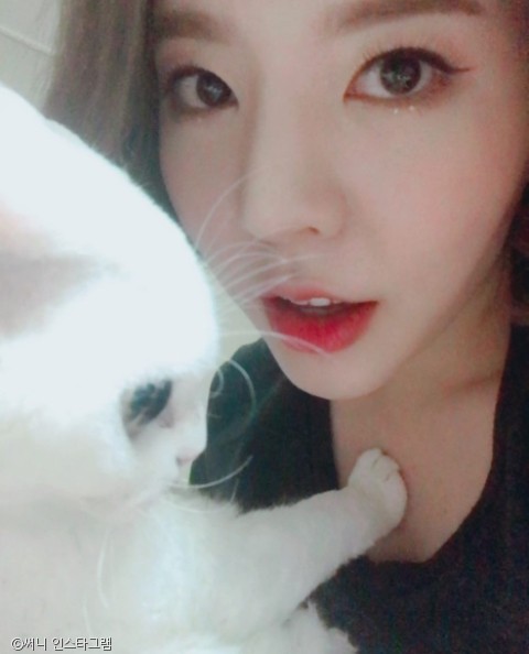 써니펫 이미지
