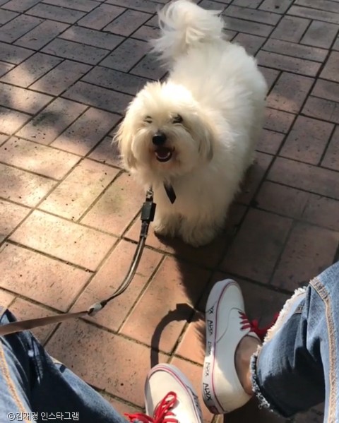 미소마카롱 이미지