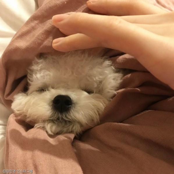 바른이불 이미지