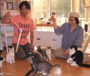 카페바른생활 이미지
