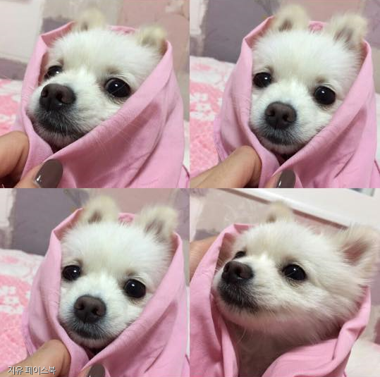 바른야채 이미지