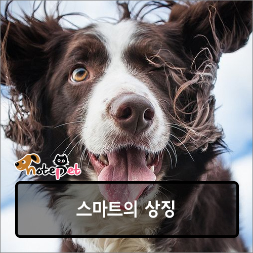 타이밍 이미지